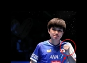 开云体育-比利时乒乓球队碾压奥地利乒乓球队，张本智和制霸全场的简单介绍