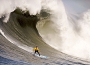 开云足球直播-黄蜂强势晋级老鹰，米切尔关键先生引领风暴