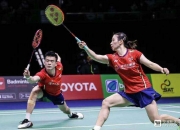 开云体育入口-关于马来西亚队完胜日本队，黄鸭组合统治全场的信息