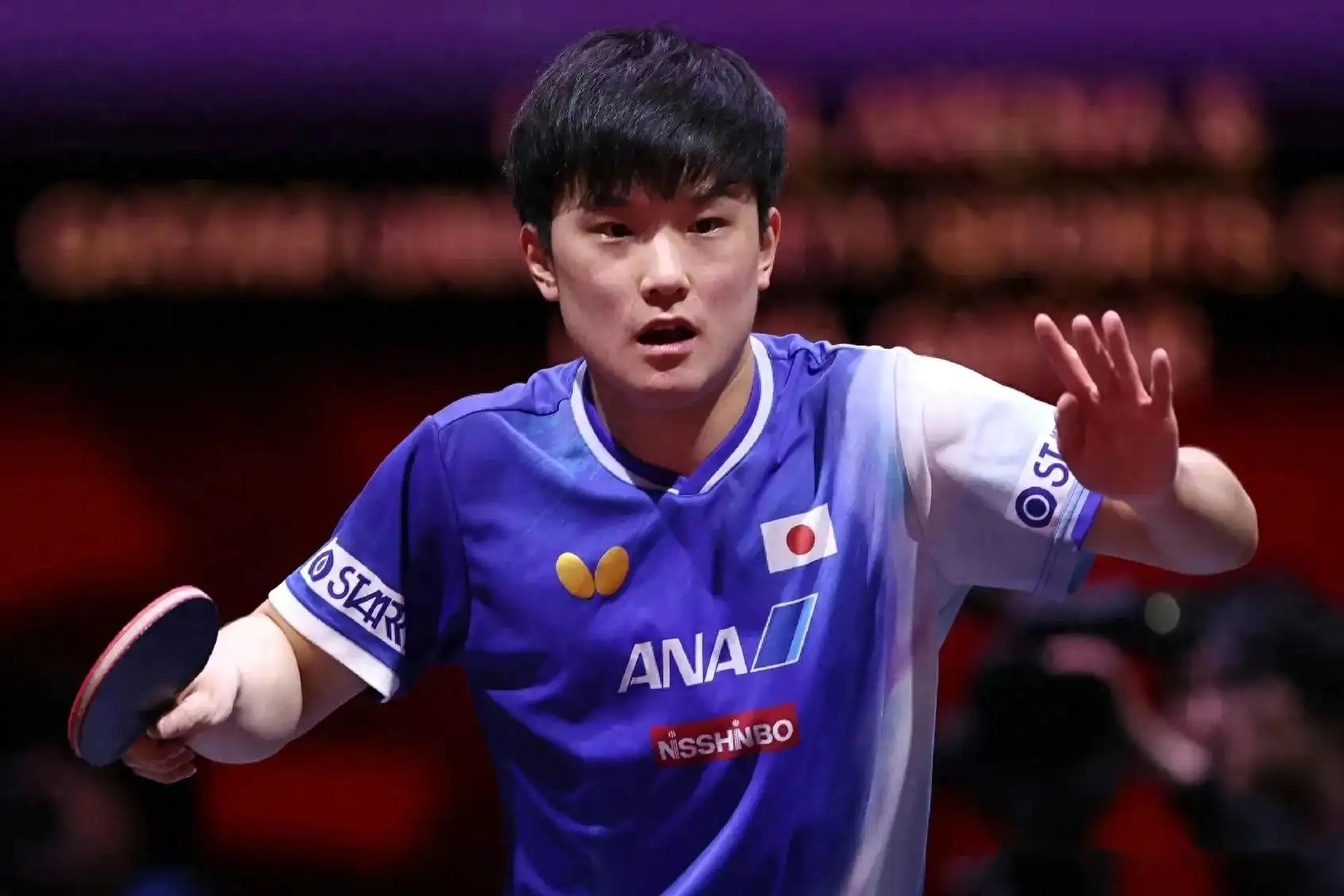 包含瑞典乒乓球队险胜比利时乒乓球队，张本智和惊艳世界的词条