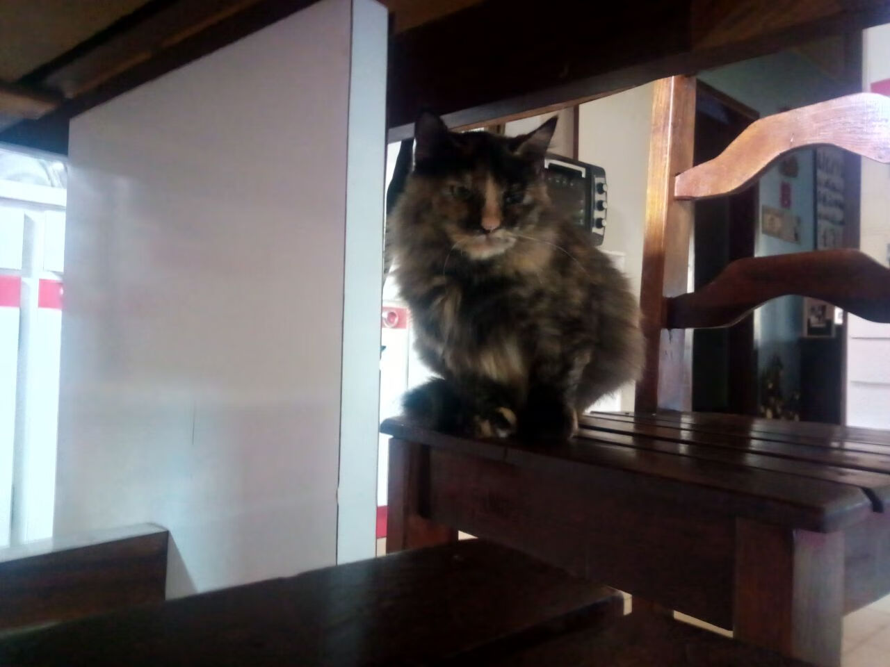 绿茵场上的双面传奇，姆巴佩的高光魔法与比利时血液如何制霸国际米兰