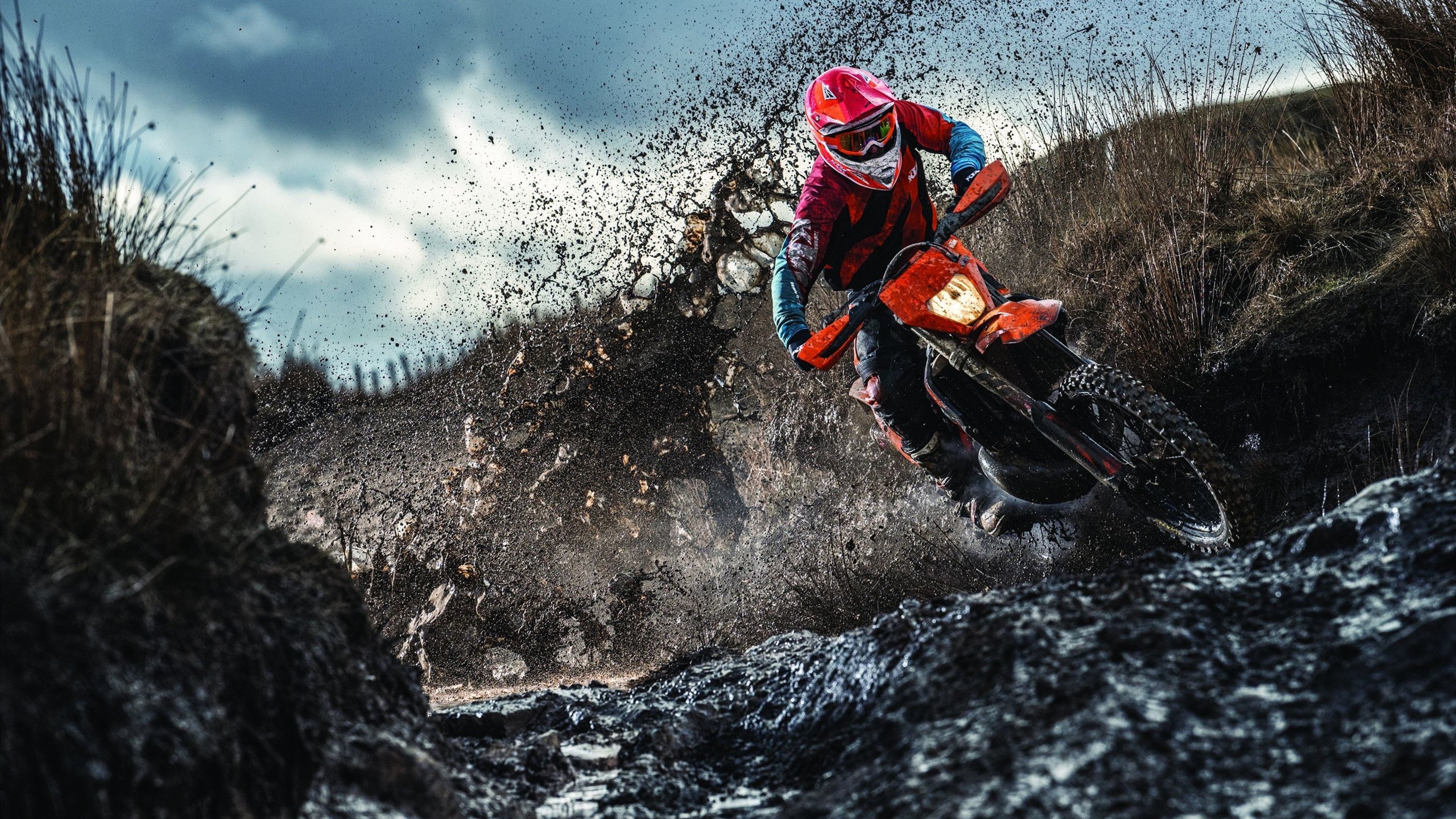 年度焦点之战之夜，莫兰特展现巨星价值