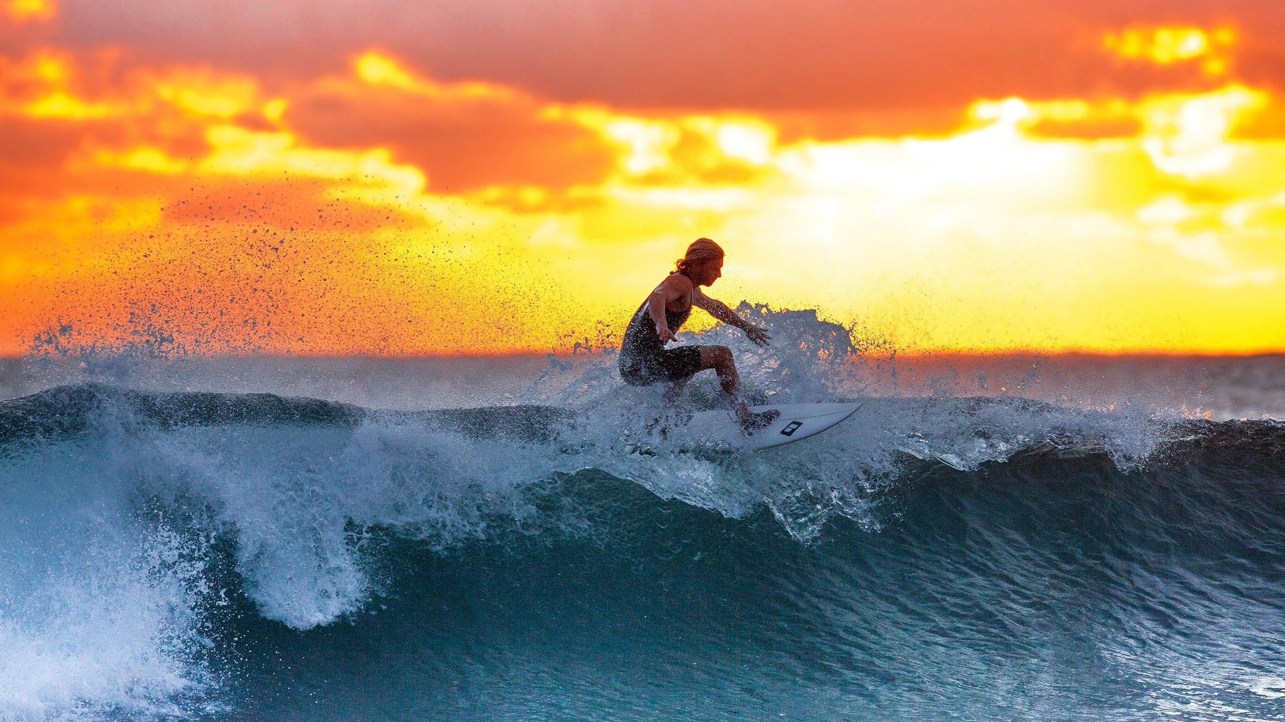 铁血与巨灵，当江苏队的双拳难敌伦纳德的五指山，一场改写CBA格局的鏖战